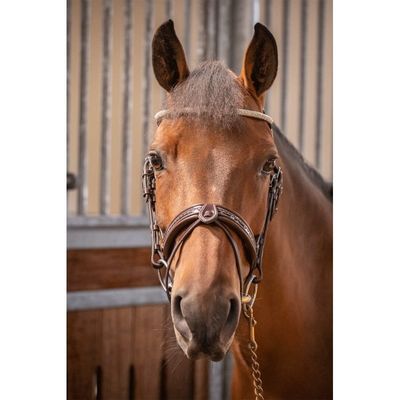 Harmonie Bridle