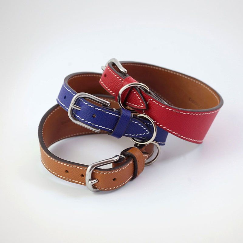 Greyhound/Whippet collar