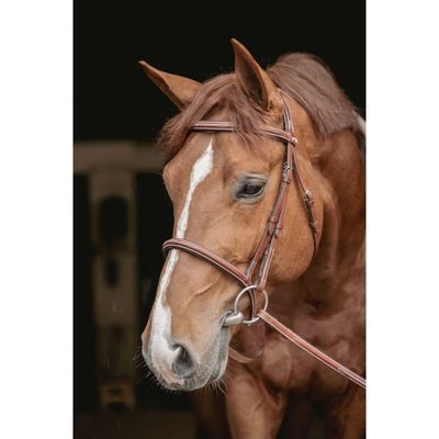 Hunter Bridle