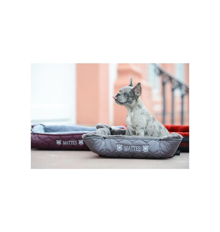 Dog Bed