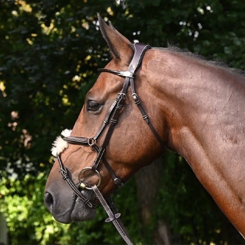 Wednesday Bridle with Grackle
