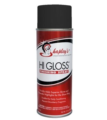 Shapley&#39;s™ Hi Gloss™ Finishing Spray 12 oz.