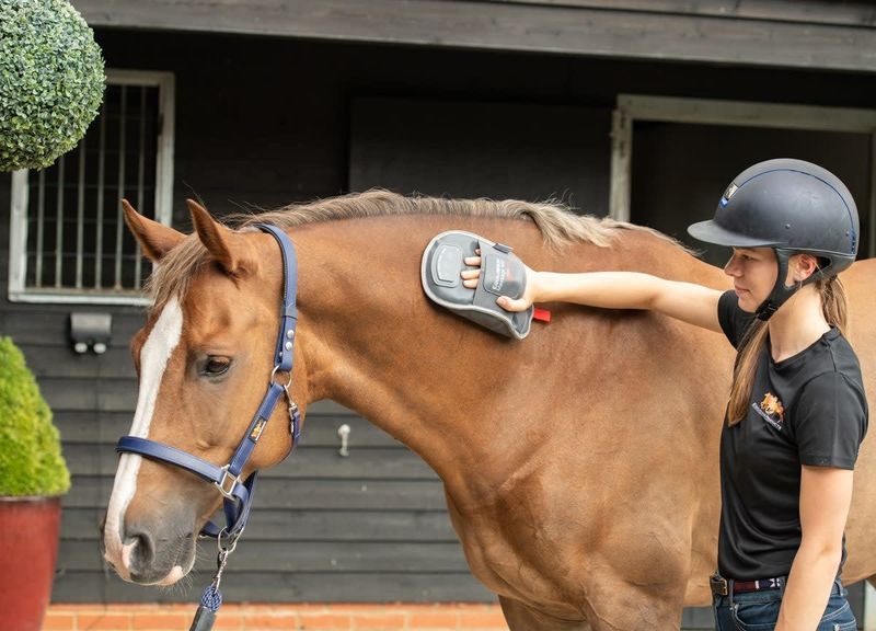 Equilibrium Massage Mitt Hotspot – Heat &amp; Massage Therapy for Horses