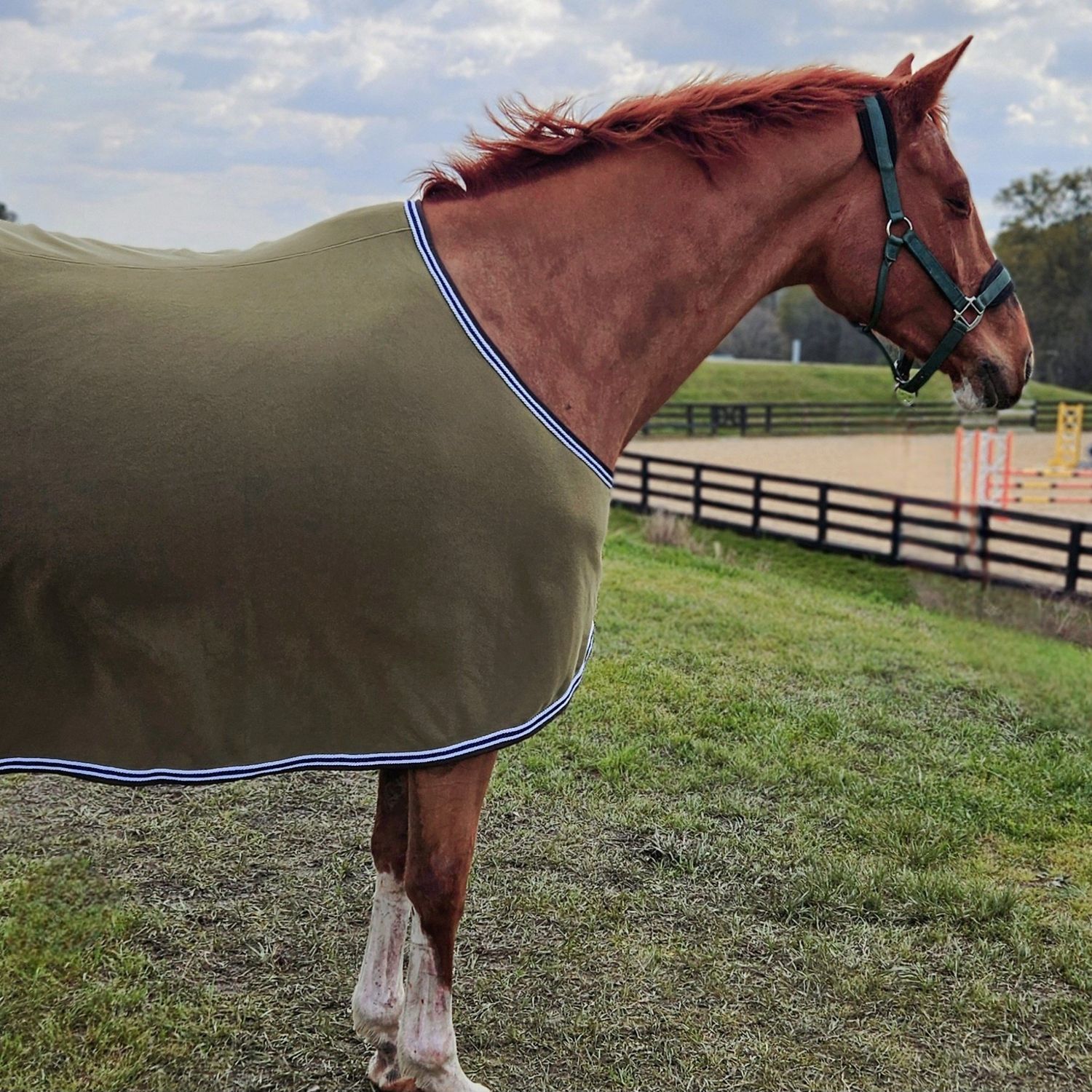 Olive Dress Sheet