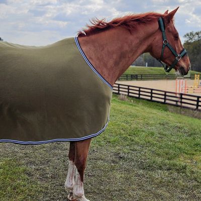 Olive Dress Sheet