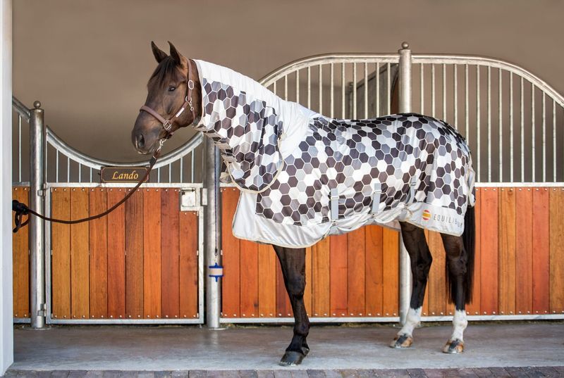 Field Relief Fly Protection