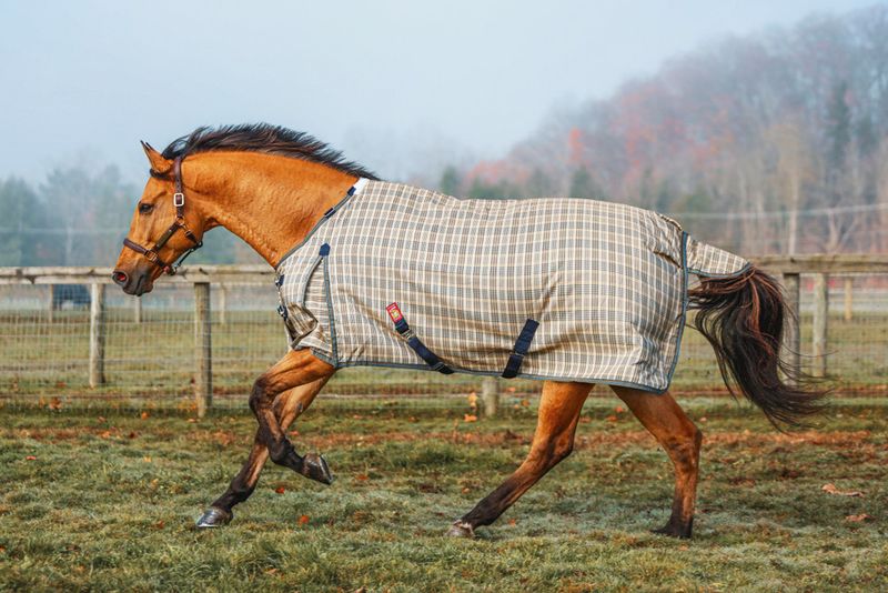Heavy Weight Turnout Blanket 400 Gram