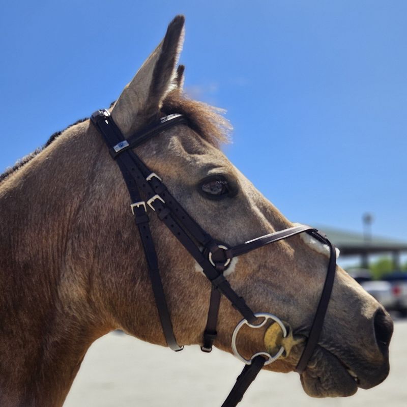 Grackle Noseband (Pony)
