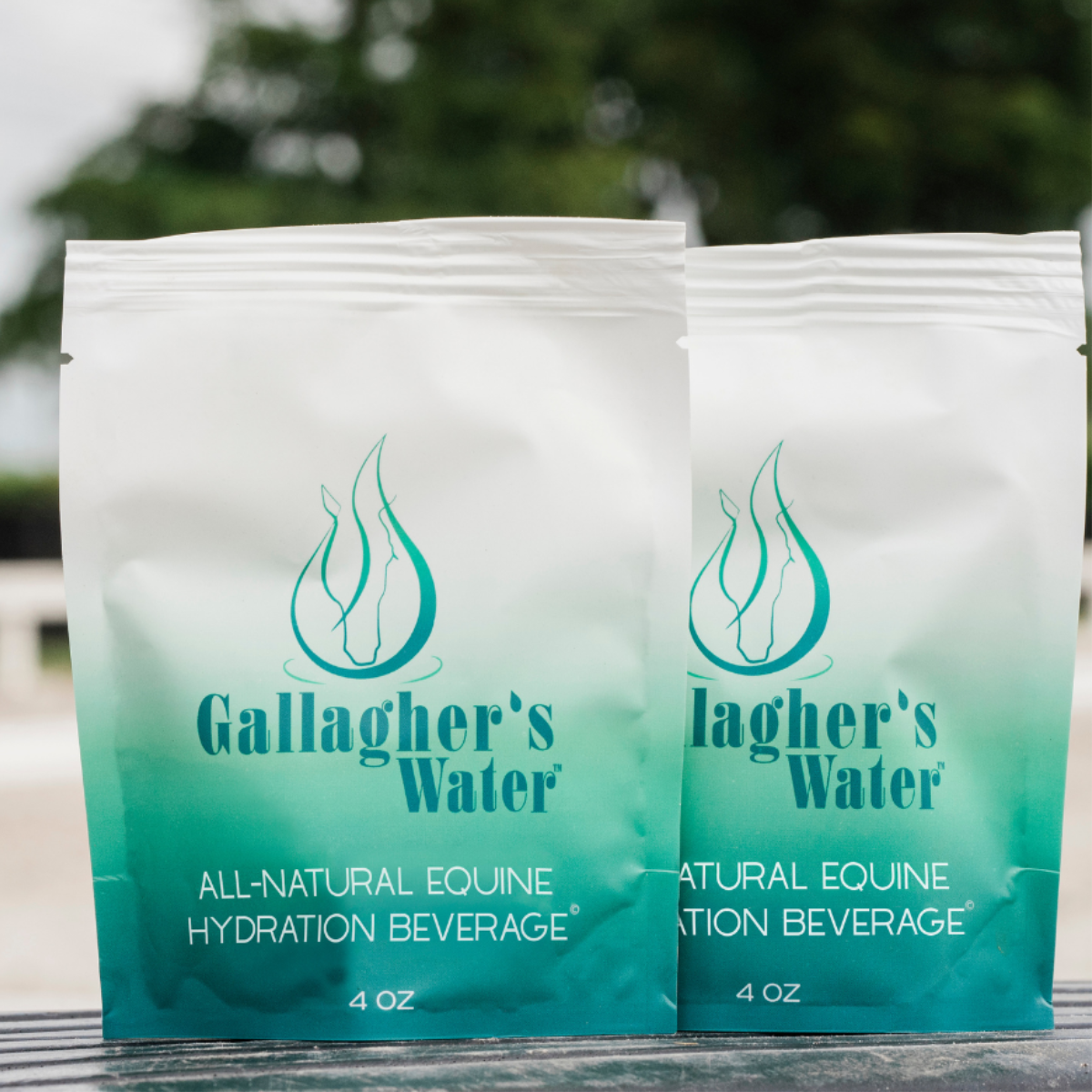 Gallagher&#39;s Water - Individual