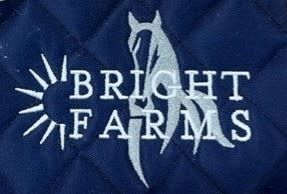 Bright Farm Dressage Pads Logo Both Pony Name on Spine