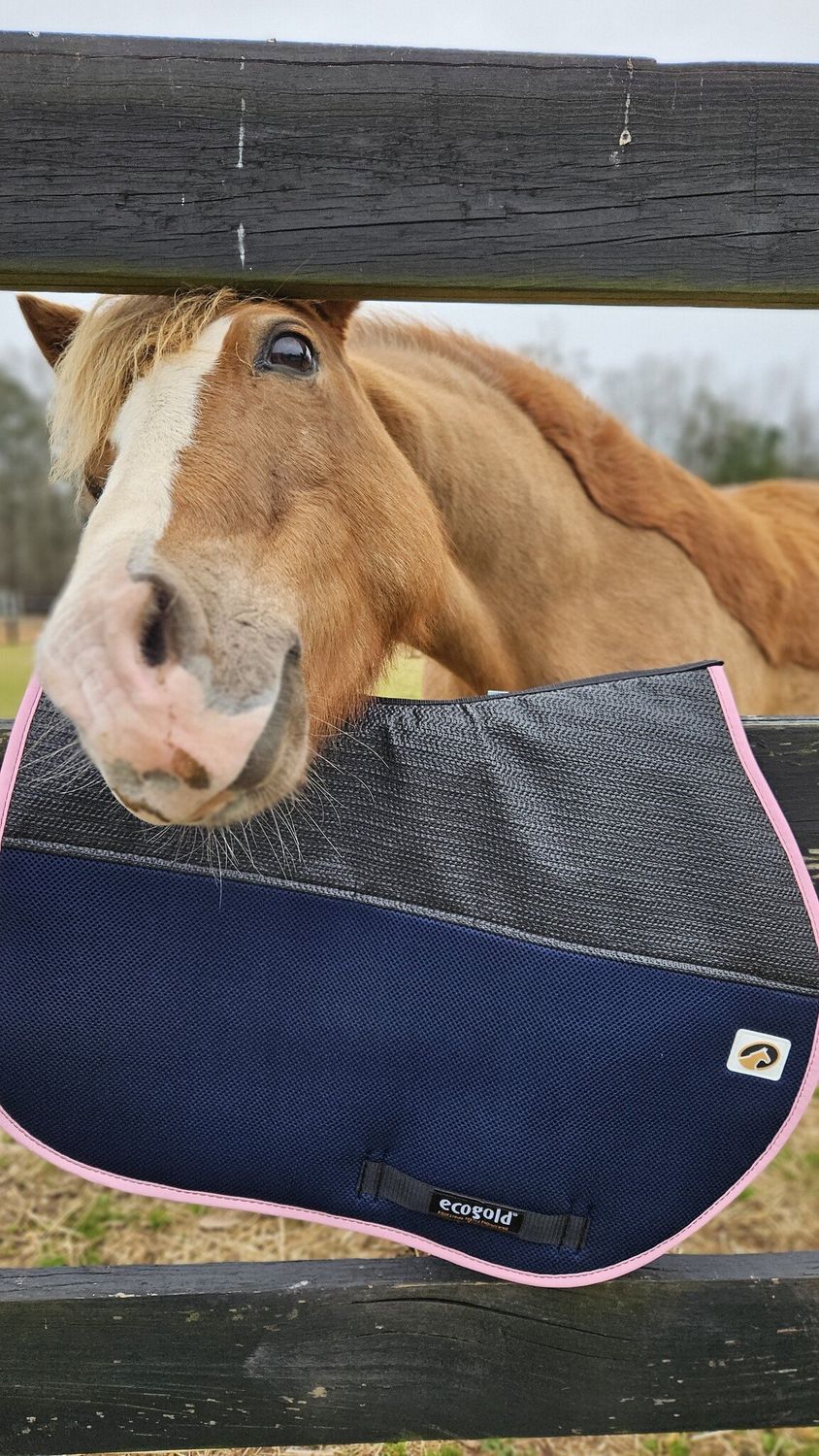 Breeze Jump - Pony