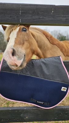 Breeze Jump - Pony