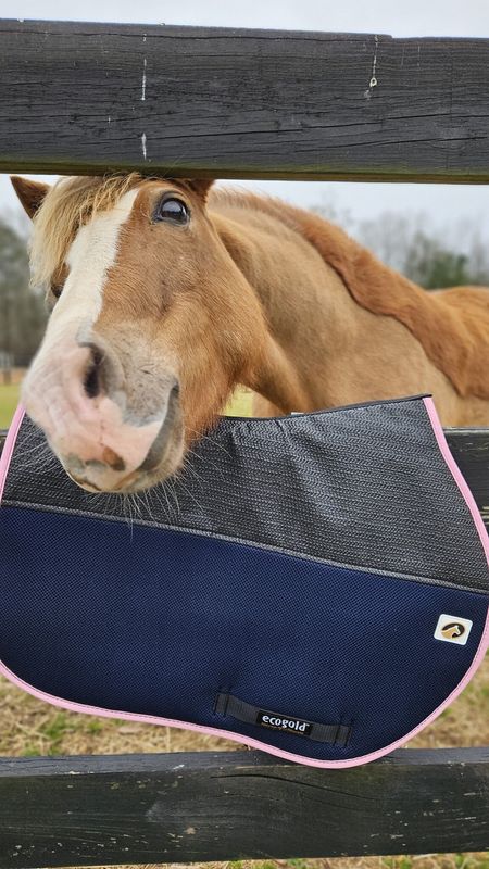 Breeze Jump - Pony