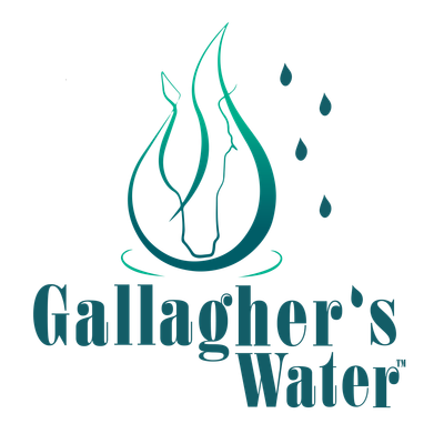 Gallagher&#39;s Water - box