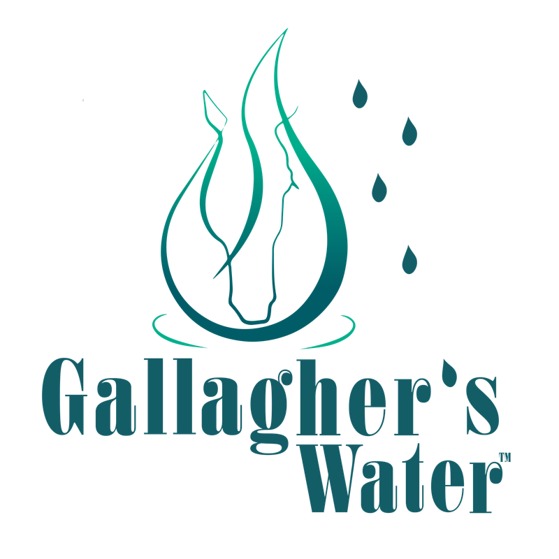 Gallagher&#39;s Water - box