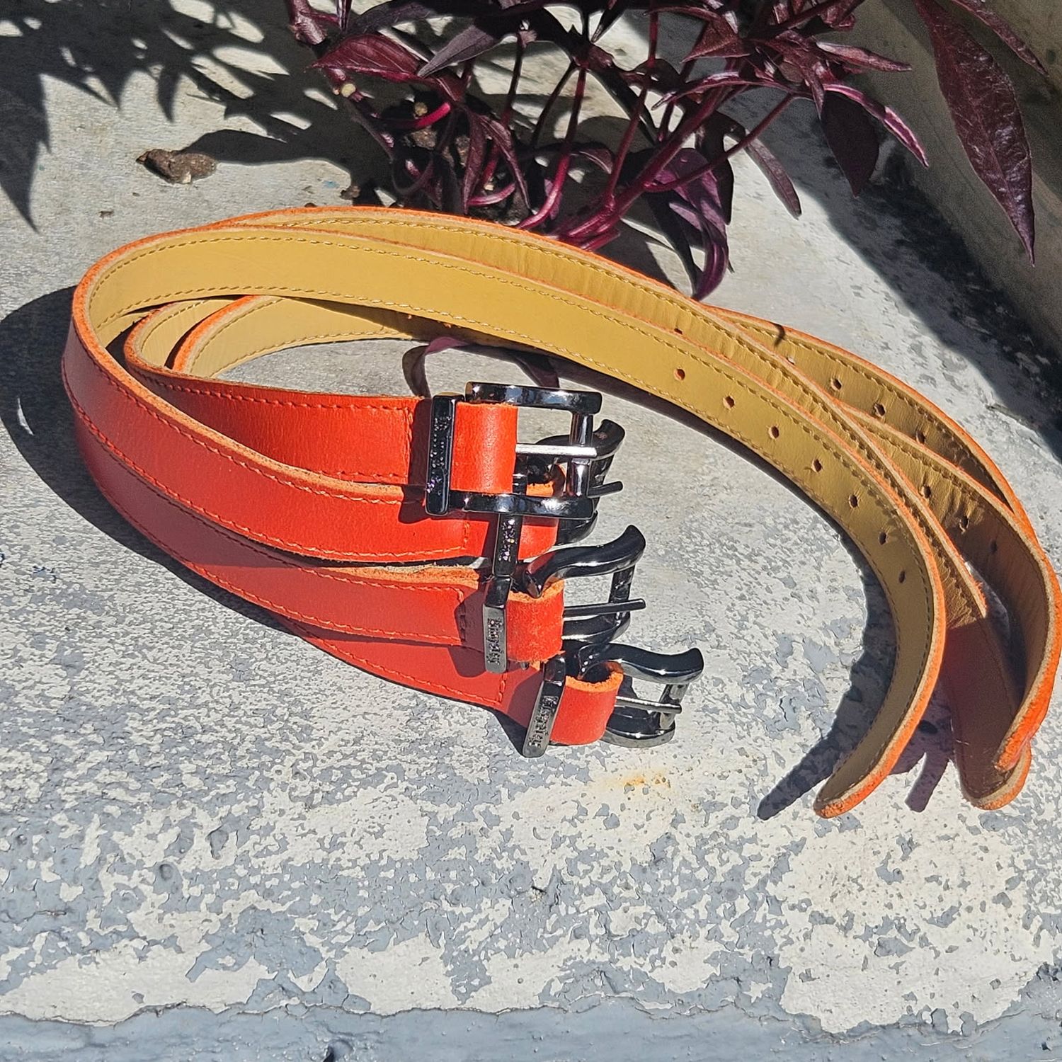 Orange Spur straps + Belt (120 cm)