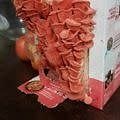 ORGANIC MUSHROOM GROW KIT | Pink Oyster