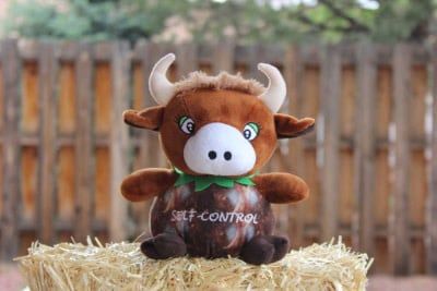 Self Control: The Coconut Bull