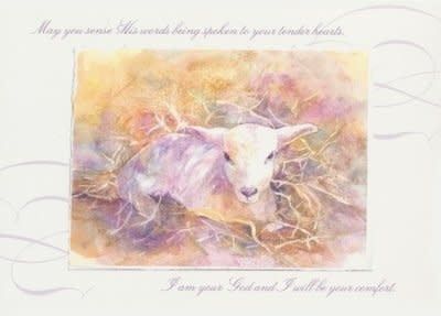 Hope and Comfort Sympathy Cards, Box of 12