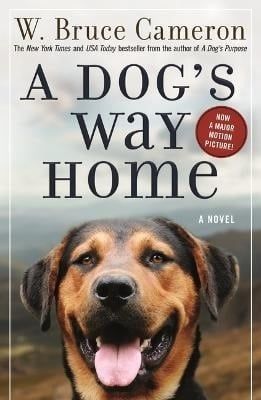 A DOG&#39;S WAY HOME