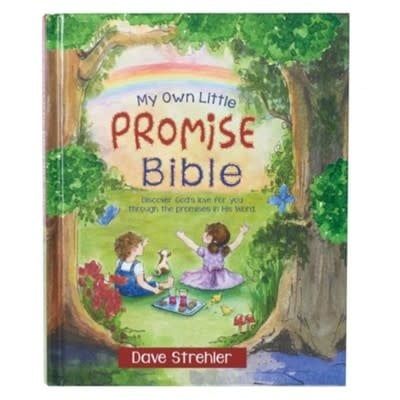 My Own Little Promise Bible By: Dave Strehler