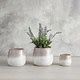 Lavender Pot - Small