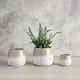 Lavender Pot - Medium