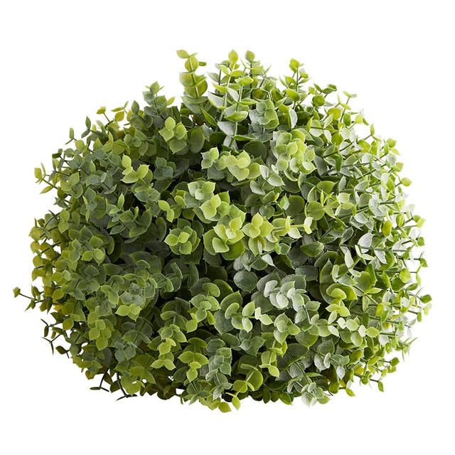 Eucalyptus Ball