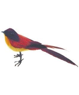 PA Garden Accents Medium Bird Scissor Tail 41⁄4&quot; Standing, Feather Red/Yellow