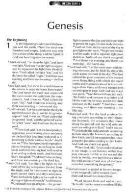 NIV Bible in 90 Days