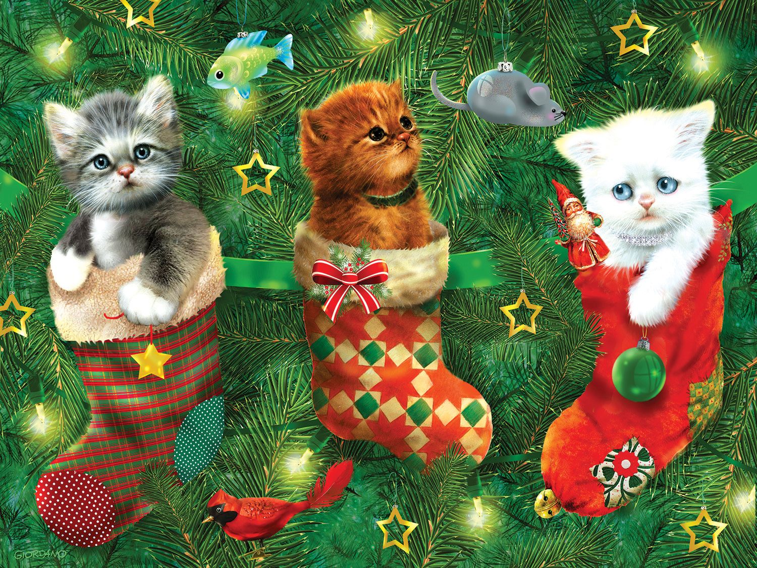 Stockings Full of Kittens 300