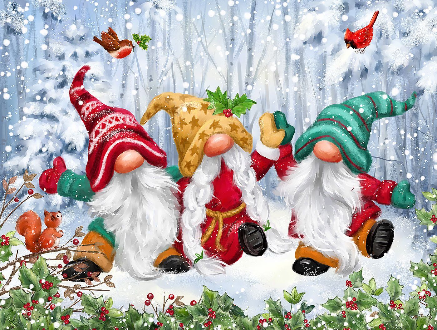 Three Winter Gnomes 300