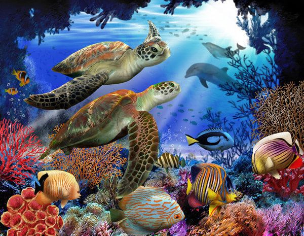Underwater Fantasy 500