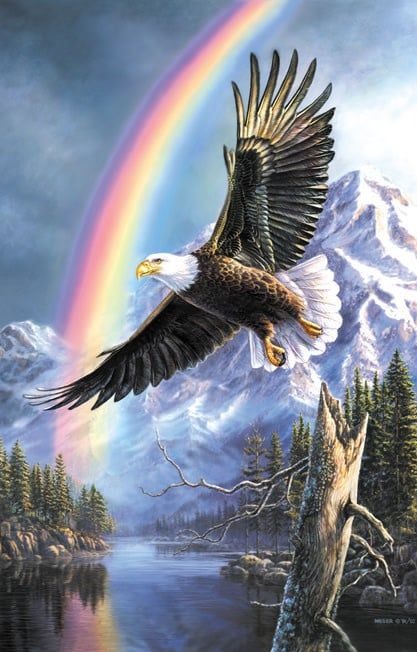 Eagle of Promise 1000