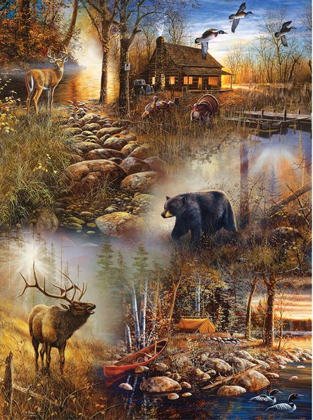 Forest Collage 1000
