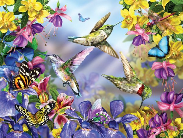 Butterflies &amp; Hummingbirds 300
