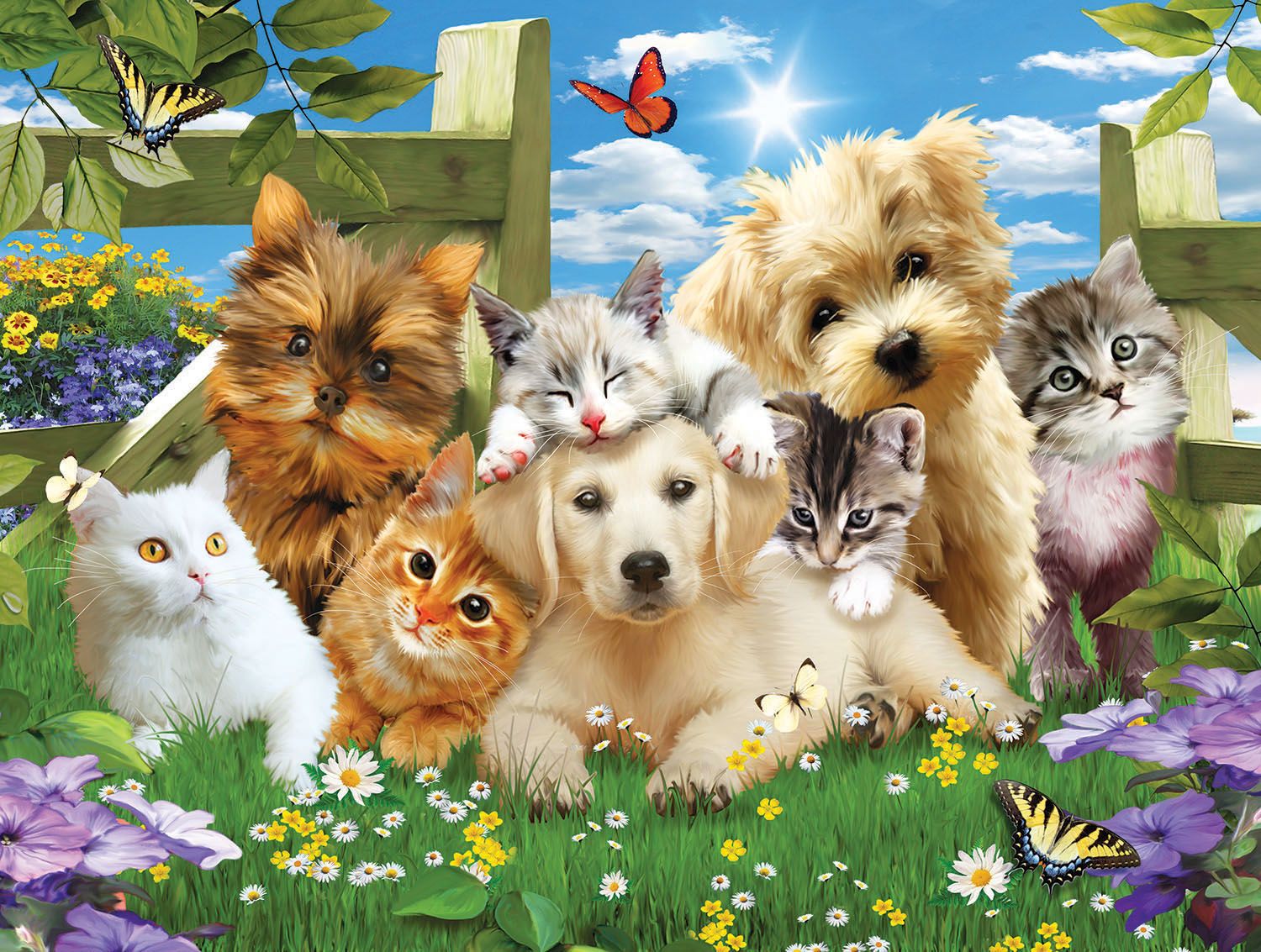 Pups n Kittens 300