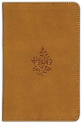 ESV Large Print Personal Size Bible--soft leather-look, caramel