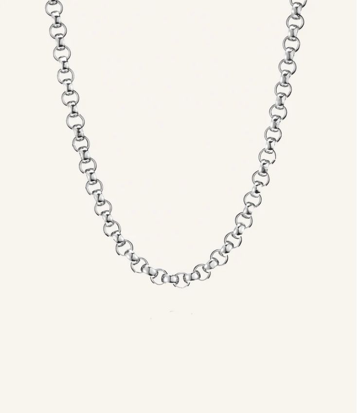 Jenny Bird  Rodin Chain, Color: Silver, Size: 17"