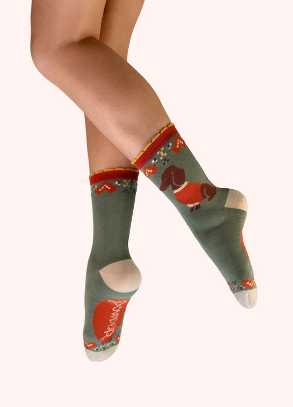 Powder Sausage Dogs Socks C813