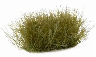 Dry Green XL (12mm)