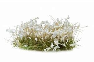 White Flowers
