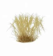 Spikey Beige (12mm)
