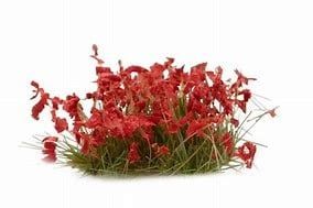 Red Flowers