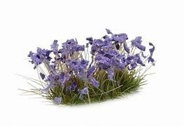Violet Flowers