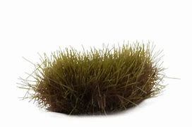 Swamp XL (8mm)