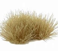Beige (6mm)