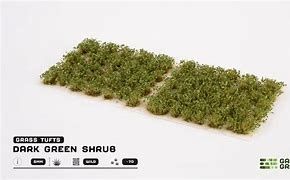 Dark Green Shrub