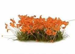 Orange Flowers