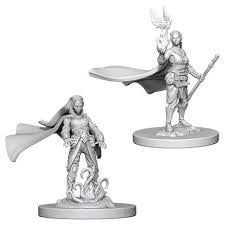 D&amp;D Elf Female Druid